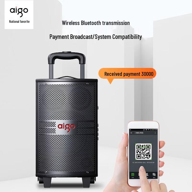 aigo S308 8-inch Portable Bluetooth Karaoke Speaker CN plug (adapter included)