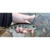 Used Tenkara Zenmai Kebari Yamame Amago Char Fly Fishing Managed Fishing Spot
