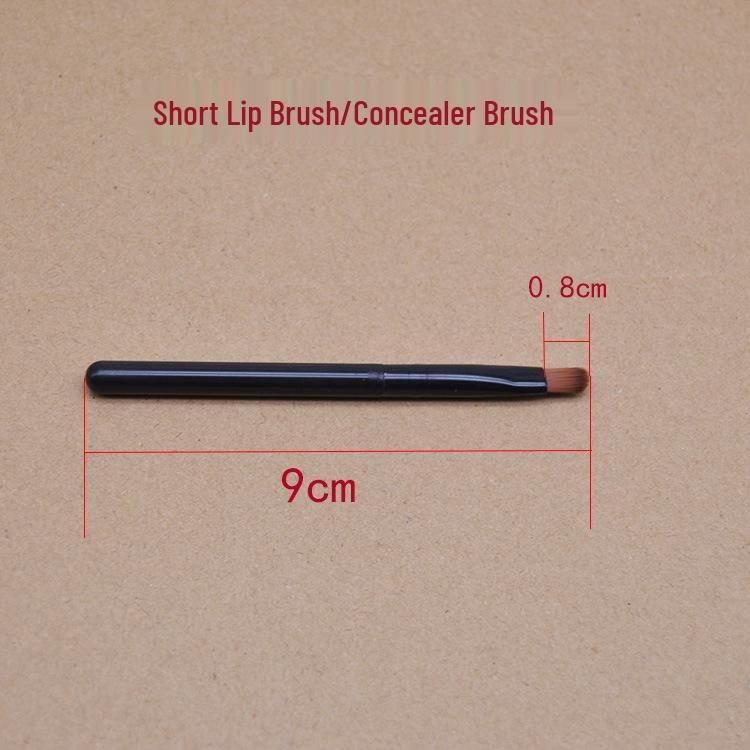Multi-Use Makeup Brush: Lip, Eyebrow, Concealer, Eyeshadow, Blending