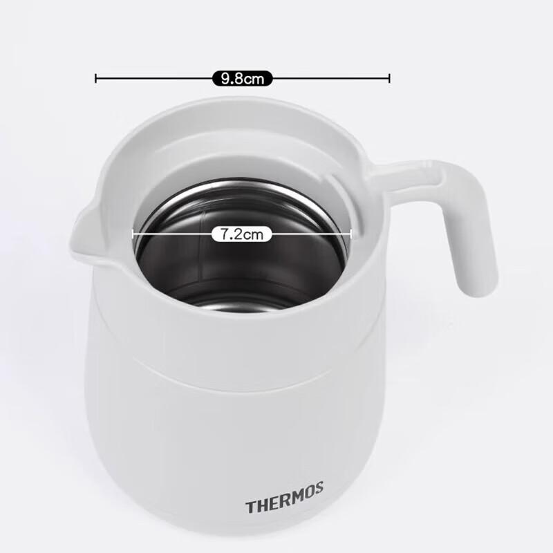THERMOS TCHC-580 Magnetic Tea Infuser Bottle