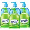 Blue Moon Aloe Vera & Wild Chrysanthemum Antibacterial Hand Soap Set