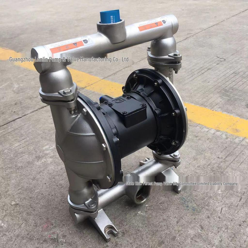QBY-15 Stainless Steel Pneumatic Diaphragm Pump with Filter Press (304/316)