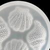 Muschelform Mehrseitige Dekorative Silikon Epoxid Spiegel Muschelform für Zuhause