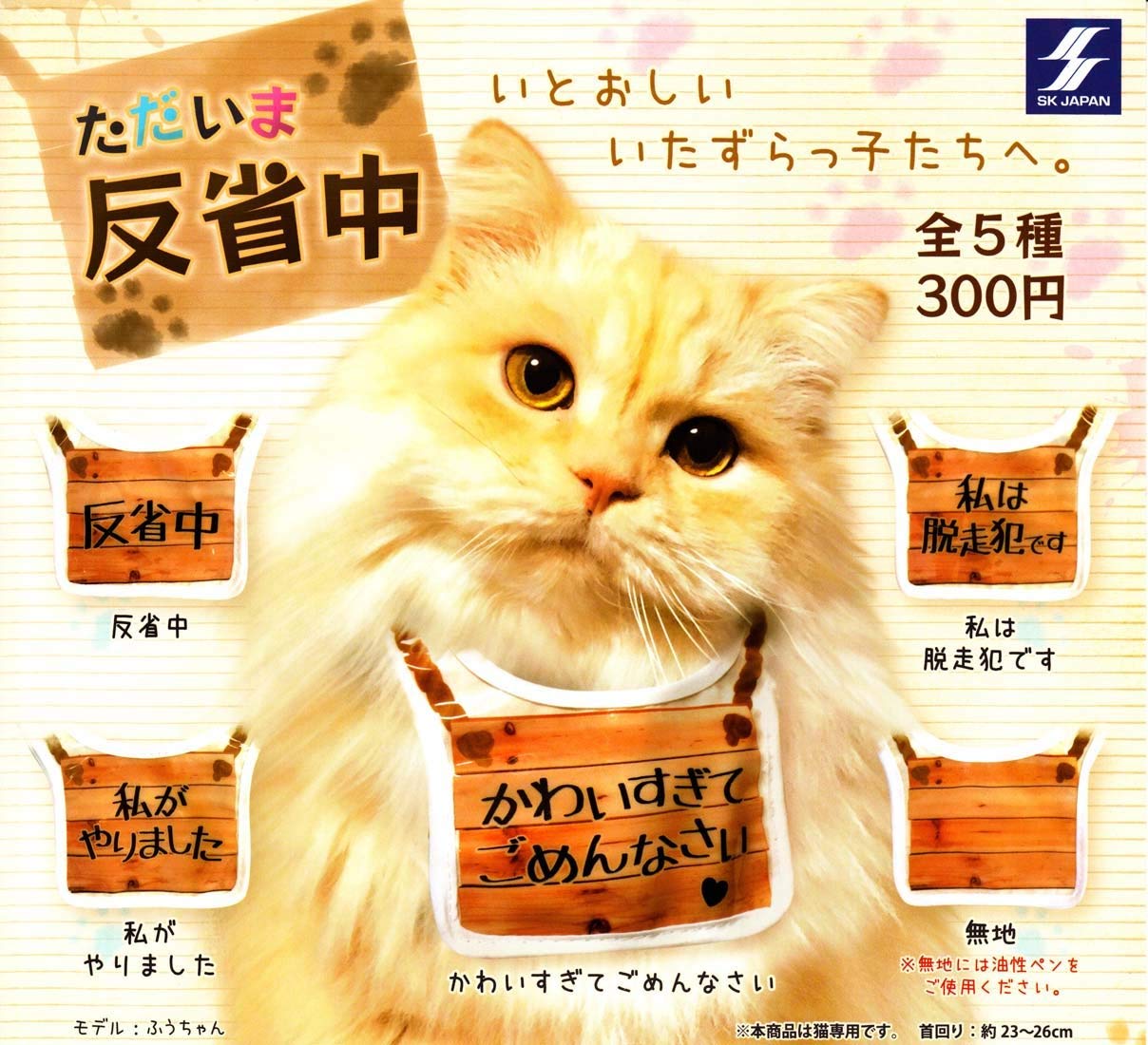 

в настоящее время размышляю над этим Все 5 типов установлены Gacha Gacha Я