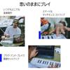 Arturia Arturia Arturia Keyboard Controller MicroLab MK3 25 Keyboard/Velocity Compatible High Def...