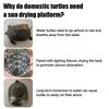 Plastic Turtle Basking Platform Float Platform Climb Feature Reptile Resting Habitat Turtle Basking Platform Float Decoration
