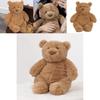 Cute And Soft Teddy Bear Plush Toy Perfect Birthday Gift For Girls