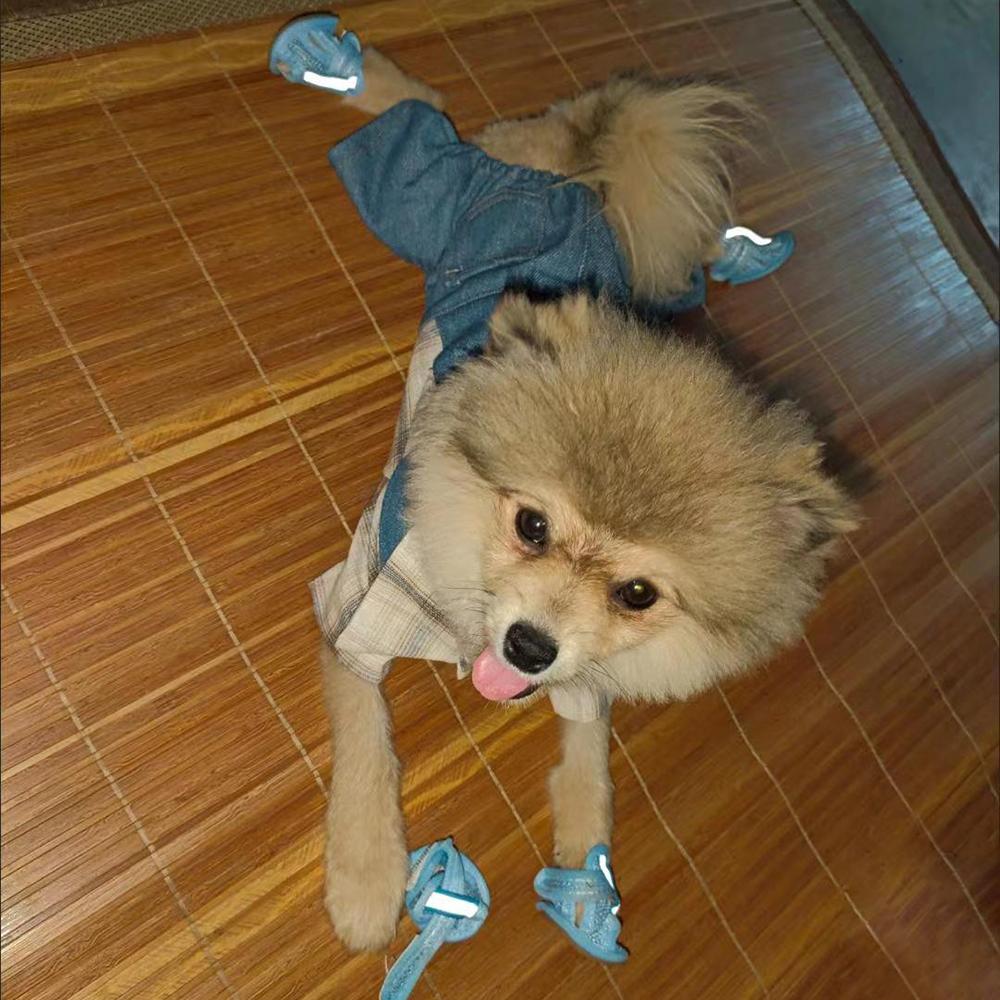 4ks/Sada Psí boty Letní prodyšné sandály pro malé psy na procházky Protiskluzová měkká podrážka Štěně Plážové boty Domácí mazlíček Produkt Čivava