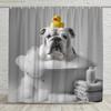 1pc Bulldog in Bathtub Shower Curtain with Rubber Duck - Cute English Bulldog Bath Decor, Polyester Fabric Bathroom Curtain 70