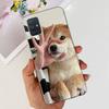 Custodia per Samsung Galaxy A31 A41 A51 A71 Custodia Dipinta Moda Carina Custodia Morbida in TPU per Samsung A31 A41 Galaxy A51 A71 Bumper