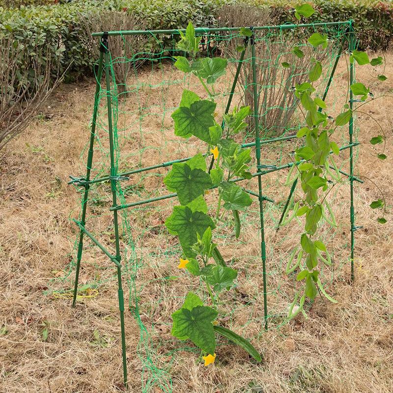 Cucumber Trellis For Raised Bed Arched Metal Trellis Raised Bed Vegetable Support Frame Gardening Grow Support Frame For Tomato