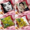Cushion Cover Anti-dustmite Pillowcase Invisible Zipper Silky Short Plush Sofa Cushion Cover ZARA
