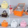 New Portable Insulated Thermal Cooler Bag Zip Solid Color Drink Storage Tin Foil Chilled Bags Outdoor Camping Picnic