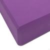 Balance Springboard, Coordination Exercise, Stability, Classroom, School, EVA Material, Sensory ,