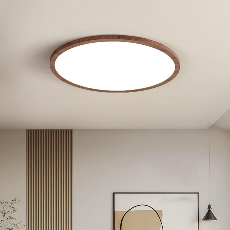 Modern Japanese Wabi-sabi Eye-Protection Ceiling Light