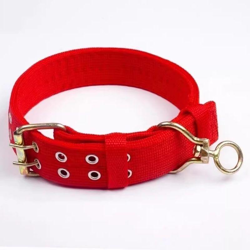 

Dog Pet Collar Collar Bandana Small and Medium Dogs Dog Leash Dog Leash Collar Pet Dog Ring Pet Supplies 5cm wide red XL-super large (40-80)