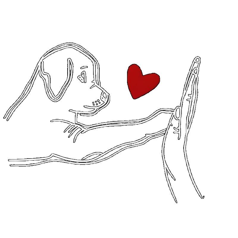 Women Casual T Shirt Black Dog And Heart Print Graphic Tee For Daily Wear And Pet Lovers