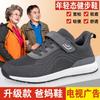 Elderly Shoes Women Middle-aged and Elderly Walking Spring New Parents Shoes Mesh Breathable Non-slip Soft-soled Sneakers Women