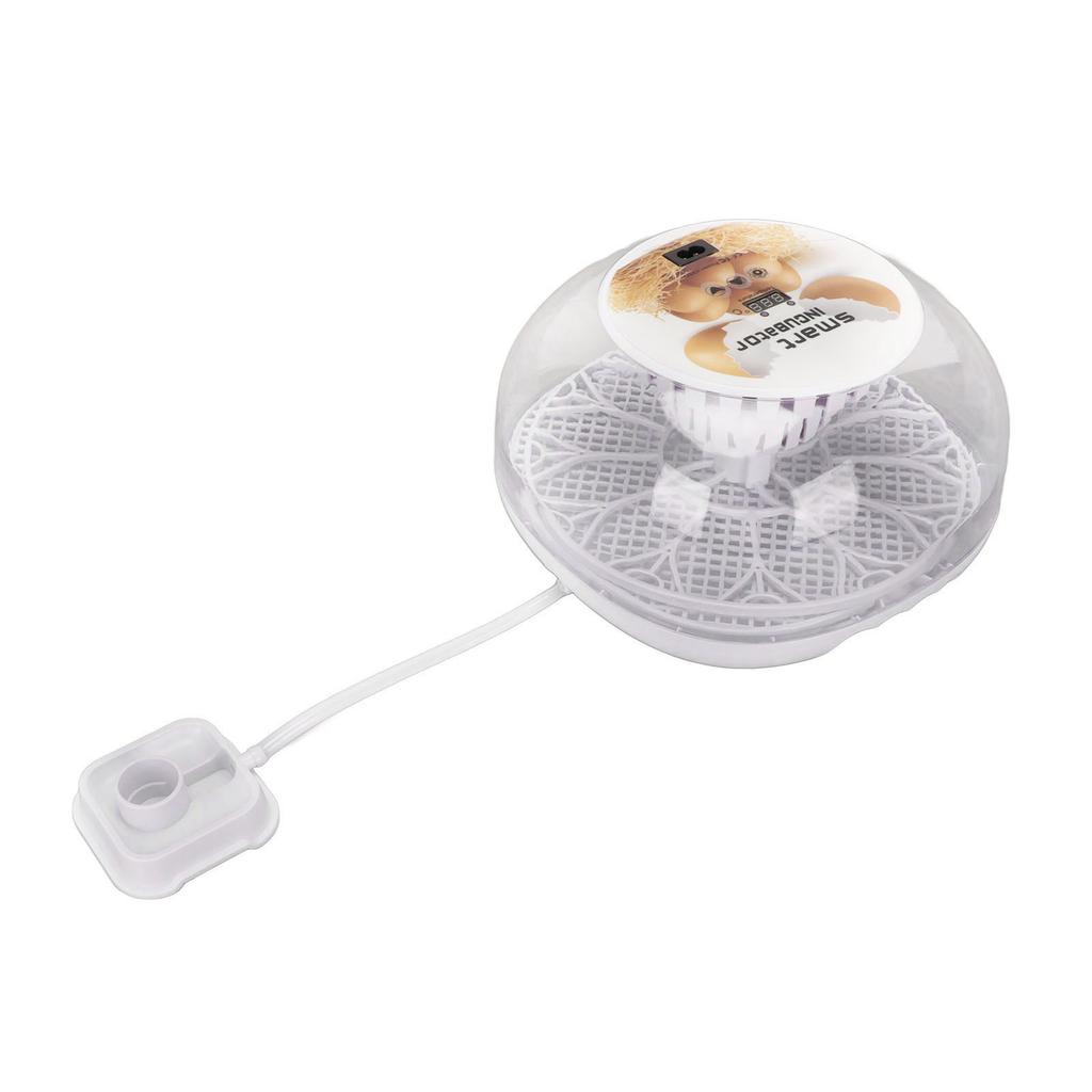 Egg Incubator Mini Automatic 12 Egg Hatcher with Fully Transparent Insulation Cover for Hatching