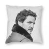 Jose Pedro Balmaceda Pascal Square Pillowcase Polyester Linen Velvet Creative Zip Decor Throw Pillow Case Home Cushion Cover