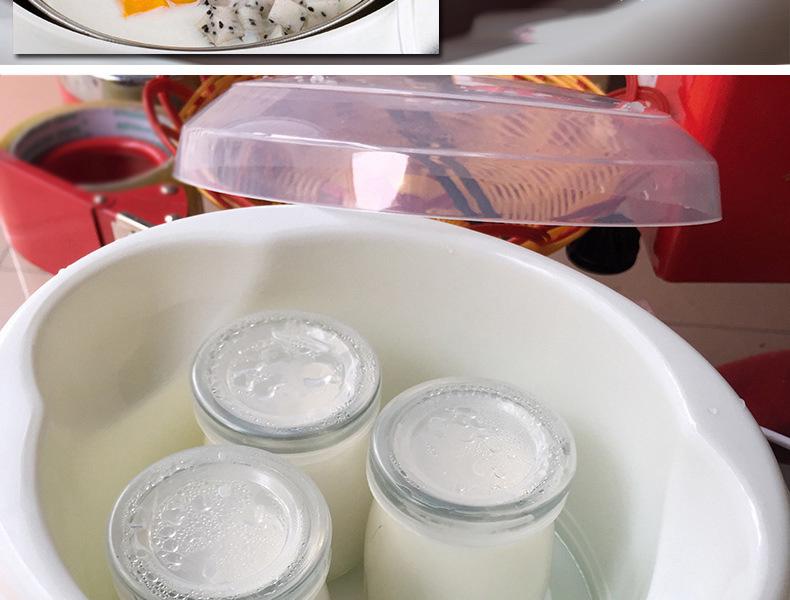 Rustfritt stål 1L Automatisk Yoghurtmaskin - Kompakt husholdningsapparat for yoghurt, natto og risvin