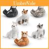 Tierfiguren Kinderspielzeug PVC Realistisches Katzenmodell Mit Sitzender Haltung Für Kinderlernen Und Schreibtischdekoration