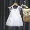 Girls Summer Tulle Princess Dress Kids Birthday Party Gown Baby Puffy Tutu Dress For Toddler