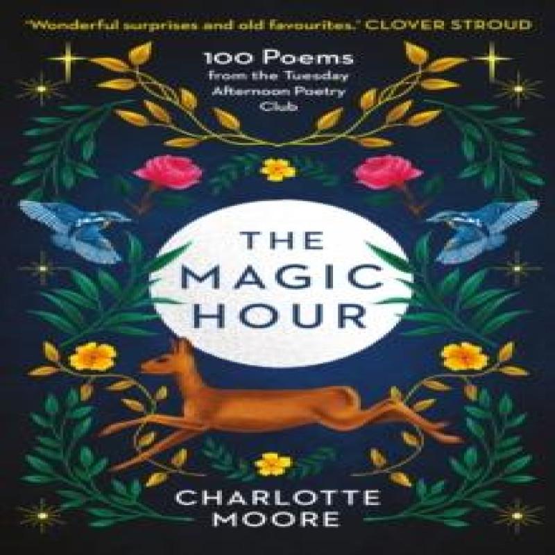 The Magic Hour by Charlotte Moore Paperback Book 9781780726267