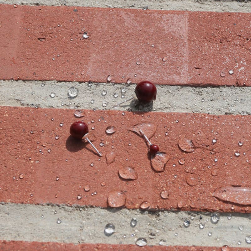 Modernlike Silver 925 Burgundy Coral Piercing Earrings