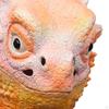 Animal Head Mask Latex Headwear Props Realistic Cute Cosplay Costume Lizard