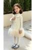 2026 Spring/Autumn Coco Style Girls' Puffy Skirt Princess Dress: Elegant Baby Banquet Attire