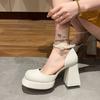 Fashion Retro square toe Mary Jane shoes embroidered thick heels thick waterproof platform buckle strap high heels single shoes