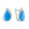 Silver Earrings with Opal 4.16ct (2075097)
