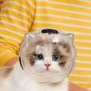 Casco para Gato Anti Mordeduras Transpirable Capucha para Gatito Casco Transparente para Aseo de Gato Para Gatito Perro Pequeño Prevención Recorte Baño