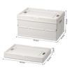 Portable Foldable Plastic Storage Box With Lid Household Hand Organizer Container Dorm Books Toys Sundries Storage Bin