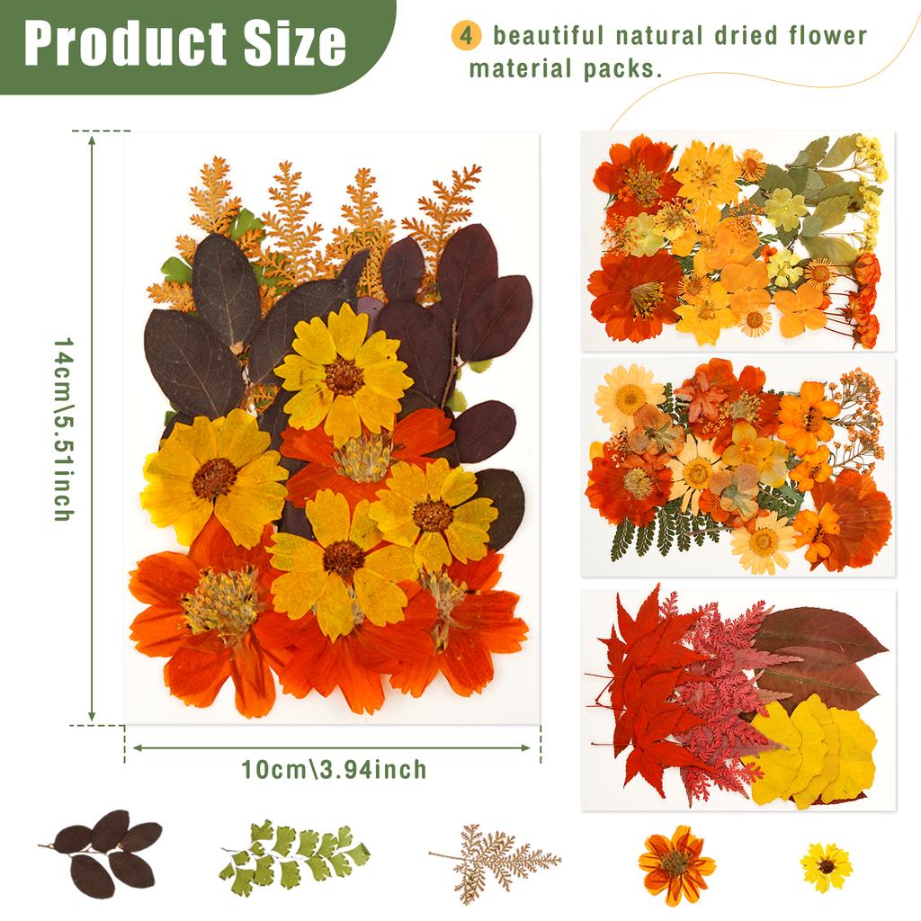 Dried Flower Making Versatile Dried Autumn Flowers Leaf Beautiful Dried Pressed Flowers for DIY Resin Mold Handicraft Enthusiast
