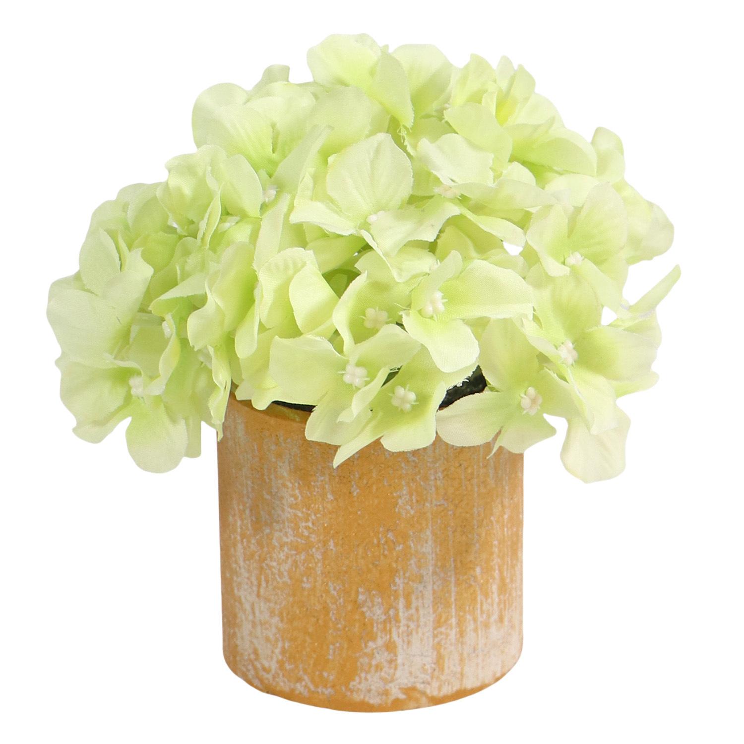 

Украшение рабочего стола Украшение барного стола Моделирование садового орнамента Гортензия Растение в горшке Украшение кухни Размещение на полке светло-зеленый