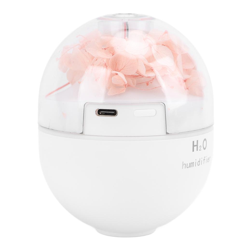 Konservierte Blume USB Luftbefeuchter mit 2 Nebelmodi 120 ml Wassertank Ätherischer Öldiffusor Nacht