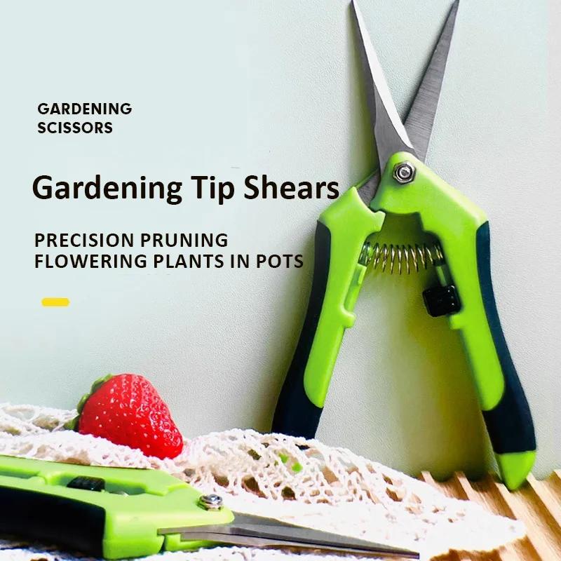 Garden Stainless Steel Flower Scissors Pruning Fruit Pruning Grape Pruning Straight Head Gardening Scissors Pruning Flowers