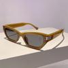Fashion Retro Shades Sunglasses Hip-hop Cat Eye Aesthetic Shades Eyewear