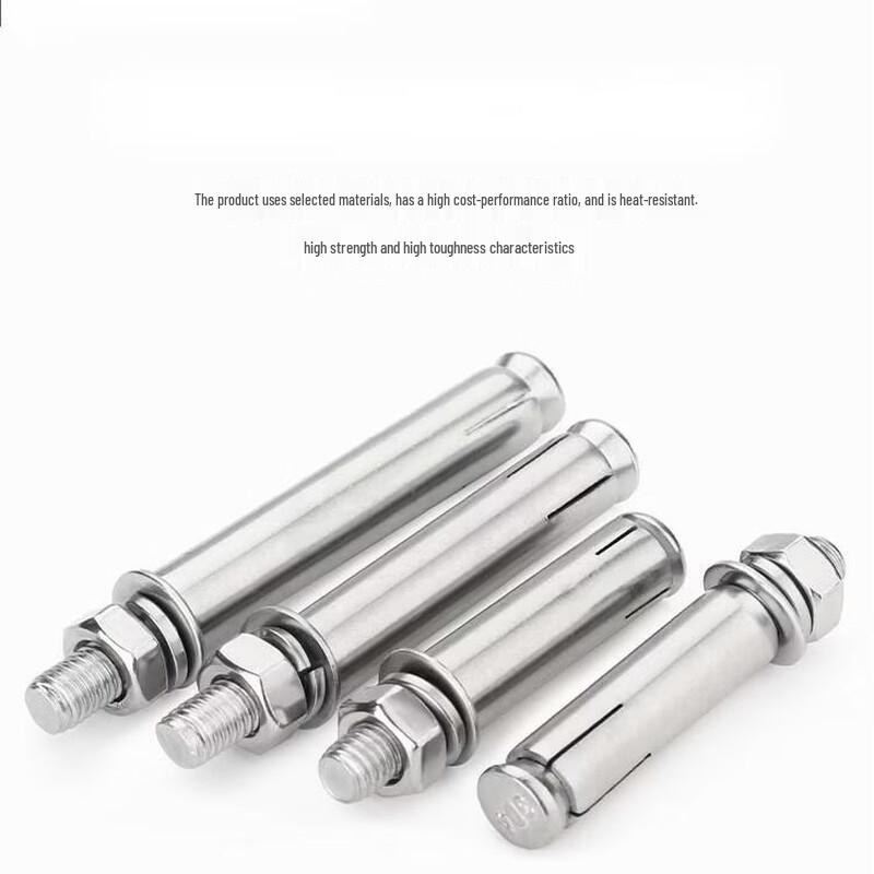 Guanshi 304 Stainless Steel Expansion Anchor
