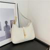 Today's popular niche design small bags women's spring new trendy messenger bags fashionable shoulder bags underarm bags