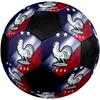 France National Football Team Soccer Ball Colorful All Ages Machine Stitched PVC Competition Ready Durable High-Bounce.SIZE5