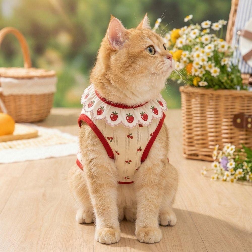 Cherry Pattern Cat Strawberry Vest Ruffled Collar Pet T-shirt Cat Lace Vest  Indoor Wear