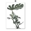 Tropical Plants Palm Leaves White Flower Wall Art Canvas Painting Nordic Posters And Prints Wall Pictures For Living Room Decor