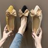 Single shoe girl 2025 spring and summer new Korean version versatile pointed head shallow mouth flat shoes fairy style gentle low heel Doudou shoes