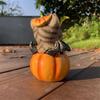 Halloween Kürbis Dekorationen Harz Kürbis Figuren mit Katzen Mittelstücke für Außen Innen Feengarten Dekorationen 55KF