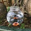 Plant Watering Device Automatic Water Seepage 3pcs Automatic Watering Device Self-watering Planter Insert Transparent Soil