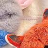 Zootopia 2 Hot Judy Niki Plush Elastic Hair Ties Women Latest Hair Bands Hair Accessories Large Intestine Shape Playthings Present