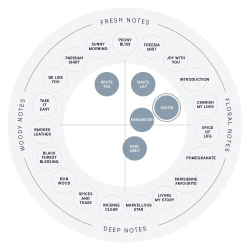 SHIRO Sabon Fragrance Diffuser Kit (3-Piece Set: Container, Refill, and Sticks) 300mL, 3-Month Life, Room Fragrance